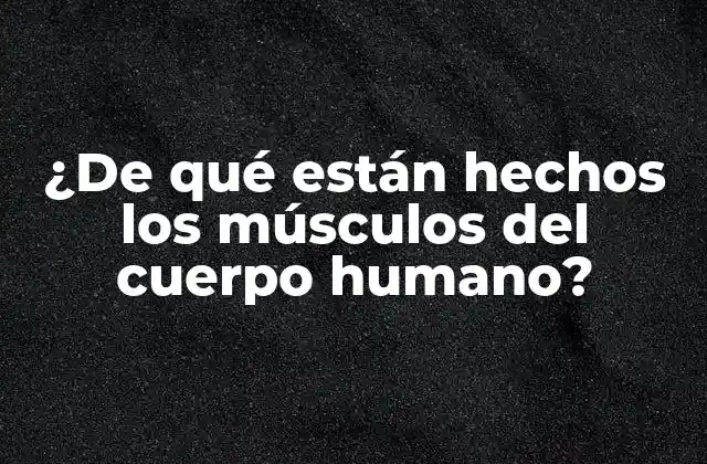 ¿de Qué Están Hechos los Músculos Del Cuerpo Humano?