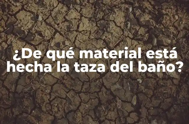 ¿de Qué Material Está Hecha la Taza Del Baño?