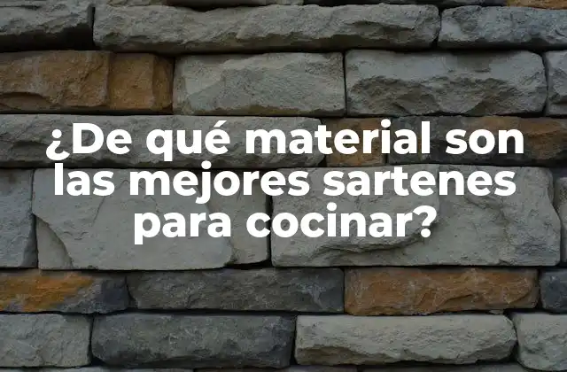 ¿de Qué Material Son las Mejores Sartenes para Cocinar?
