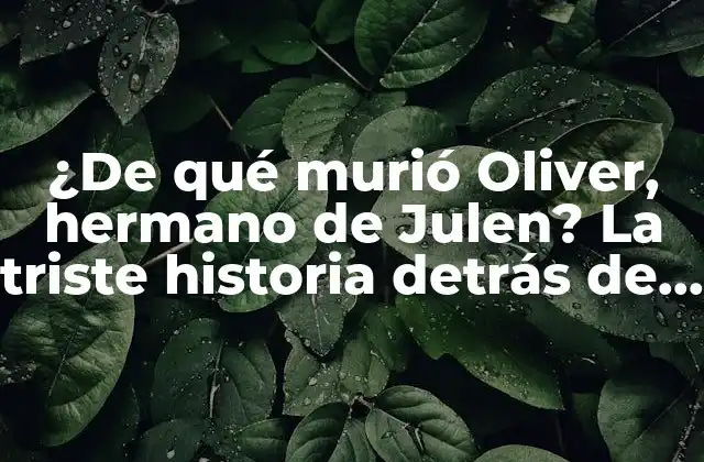 ¿de Qué Murió Oliver, Hermano de Julen? la Triste Historia Detrás de la Partida Prematura