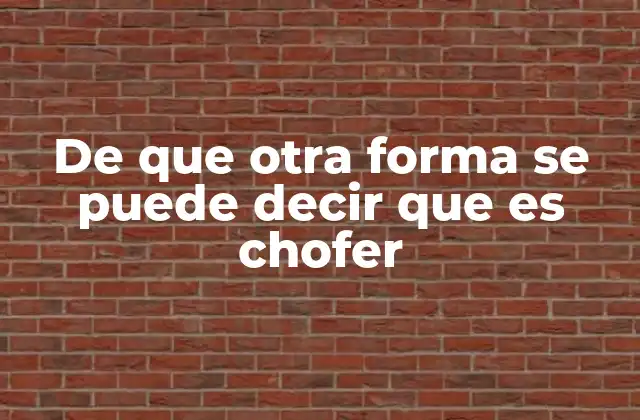 Cómo definir a alguien que conduce profesionalmente sin usar la palabra chofer