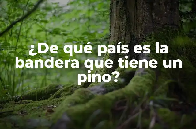 ¿de Qué País es la Bandera que Tiene un Pino?