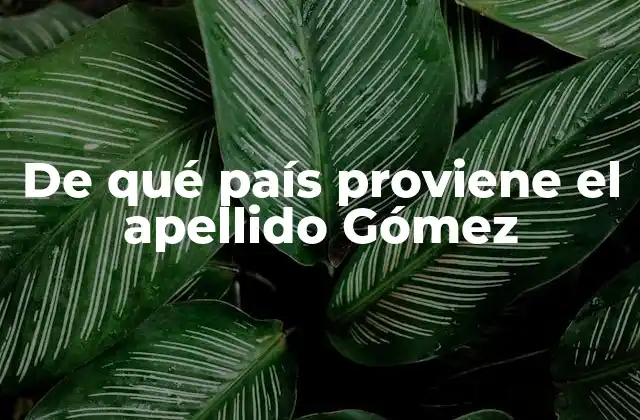De Qué País Proviene el Apellido Gómez