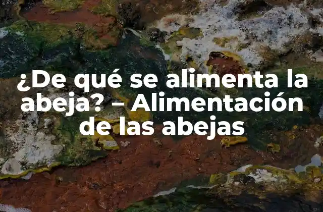 ¿de Qué Se Alimenta la Abeja? – Alimentación de las Abejas