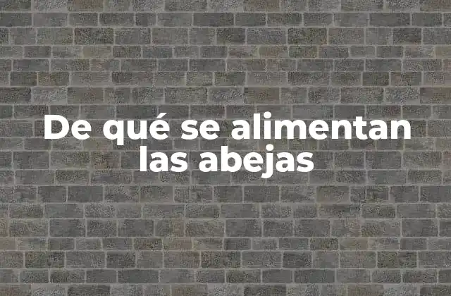 La importancia de las flores en la alimentación de las abejas