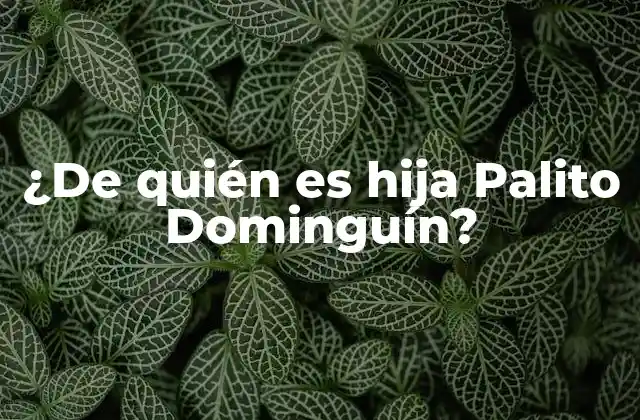 ¿de Quién es Hija Palito Dominguín?