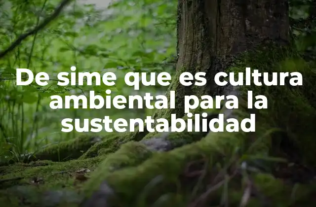 De Sime que es Cultura Ambiental para la Sustentabilidad
