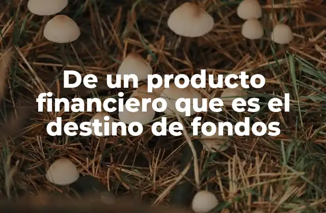De un Producto Financiero que es el Destino de Fondos