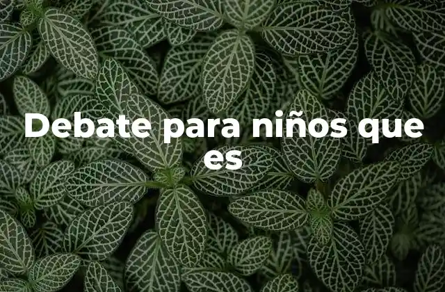 Debate para Niños que es