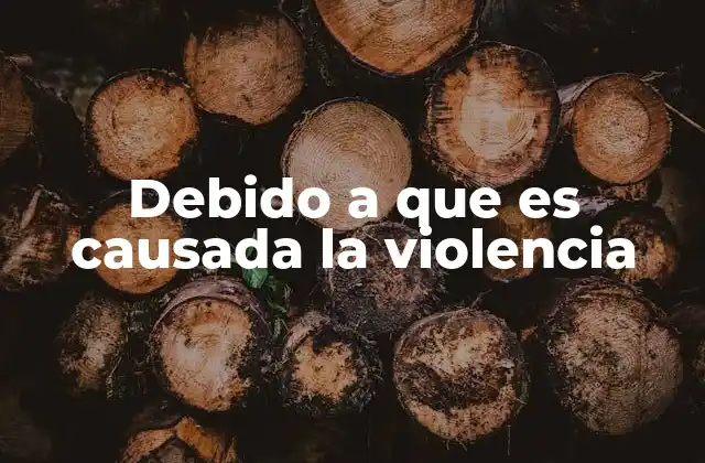 Debido a que es Causada la Violencia