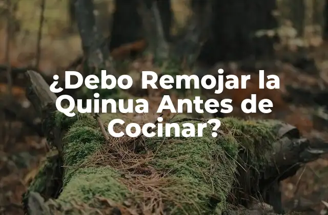 ¿debo Remojar la Quinua Antes de Cocinar?