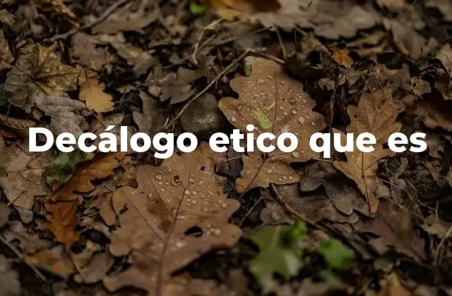 Decálogo Etico que es