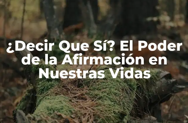 ¿decir que Sí? el Poder de la Afirmación en Nuestras Vidas