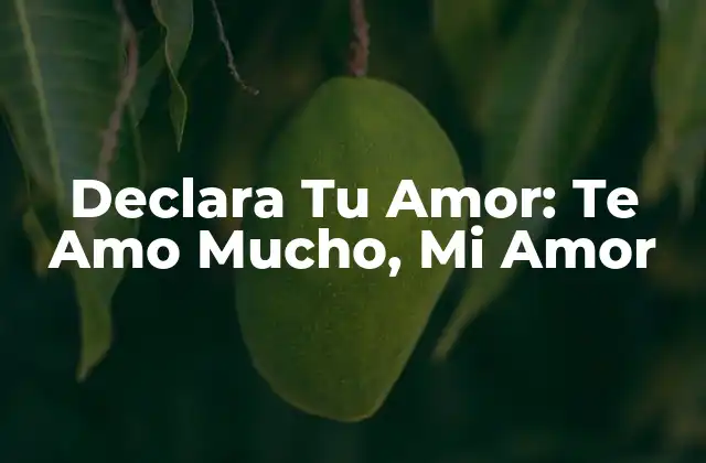 Declara Tu Amor: Te Amo Mucho, Mi Amor