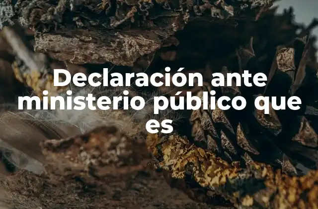 Declaración ante Ministerio Público que es