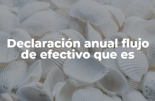 Declaración Anual Flujo de Efectivo que es
