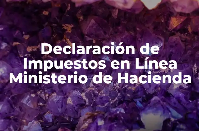 Declaración de Impuestos en Línea Ministerio de Hacienda