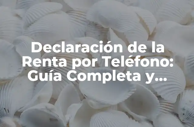 Declaración de la Renta por Teléfono: Guía Completa y Actualizada para 2023