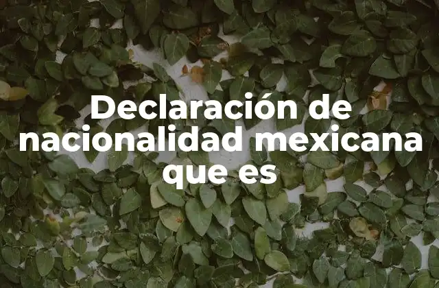 Declaración de Nacionalidad Mexicana que es 2 El papel de la nacionalidad en la identidad legal mexicana