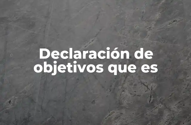 Declaración de Objetivos que es