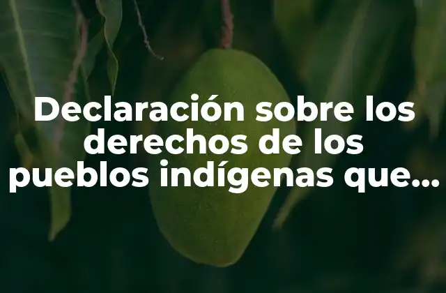 Declaración sobre los Derechos de los Pueblos Indígenas que es