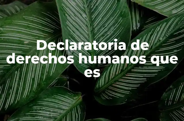 El impacto de los derechos humanos en la sociedad moderna