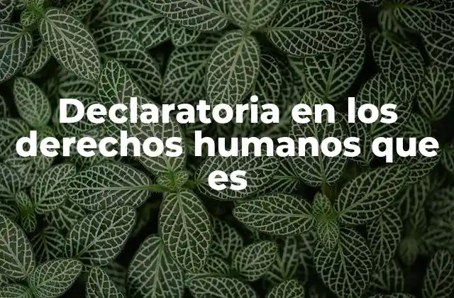 Declaratoria en los Derechos Humanos que es 2 El rol de las declaratorias en la construcción de sociedades justas