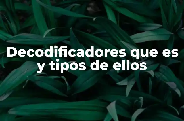 Decodificadores que es y Tipos de Ellos