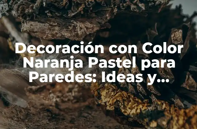 Decoración con Color Naranja Pastel para Paredes: Ideas y Consejos