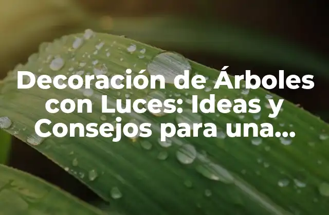 Decoración de Árboles con Luces: Ideas y Consejos para una Navidad Brillante