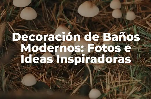 Decoración de Baños Modernos: Fotos e Ideas Inspiradoras