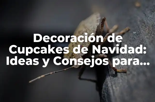 Decoración de Cupcakes de Navidad: Ideas y Consejos para la Temporada Festiva
