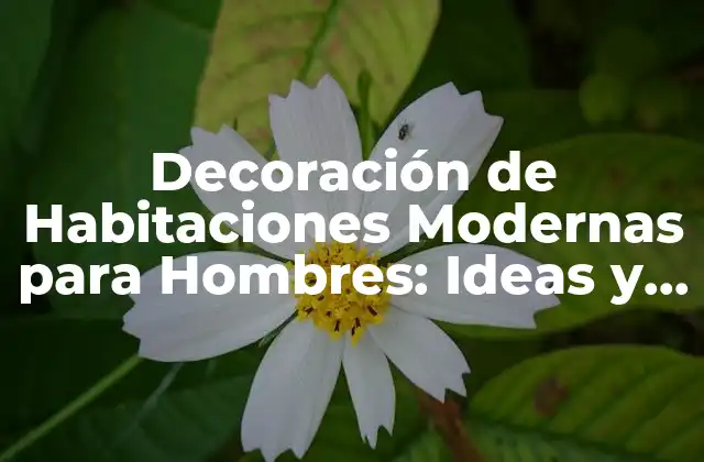 Decoración de Habitaciones Modernas para Hombres: Ideas y Tendencias