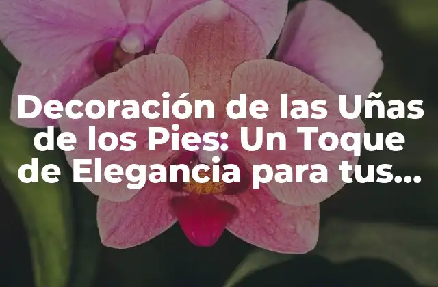 Decoración de las Uñas de los Pies: un Toque de Elegancia para Tus Pies