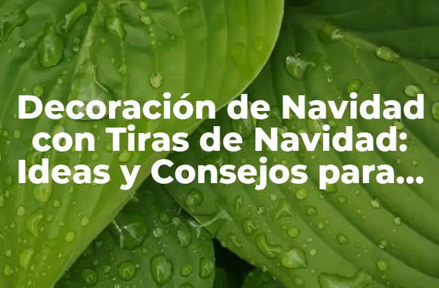 Decoración de Navidad con Tiras de Navidad: Ideas y Consejos para una Casa Festiva