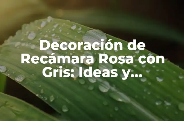 ¿Por qué el Rosa y el Gris son una Combinación Perfecta?
