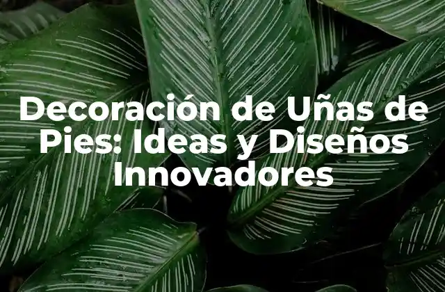 Decoración de Uñas de Pies: Ideas y Diseños Innovadores