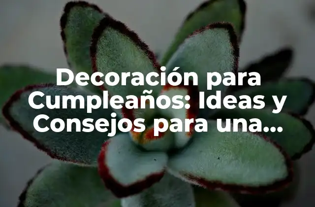 Decoración para Cumpleaños: Ideas y Consejos para una Fiesta Inolvidable