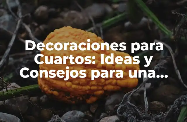 ¿Cuáles son los Elementos Básicos para Decorar un Cuarto?
