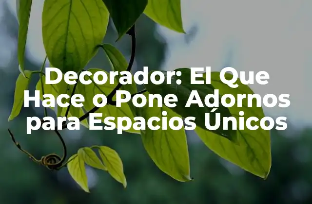 Decorador: el que Hace o Pone Adornos para Espacios Únicos