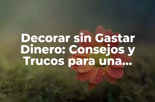 Decorar sin Gastar Dinero: Consejos y Trucos para una Decoración Económica