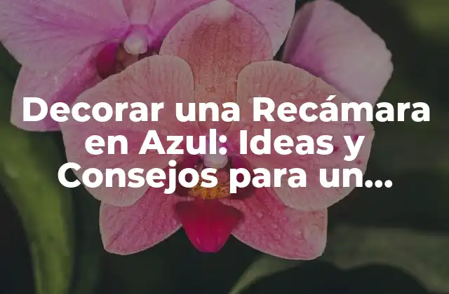 Decorar una Recámara en Azul: Ideas y Consejos para un Diseño Único