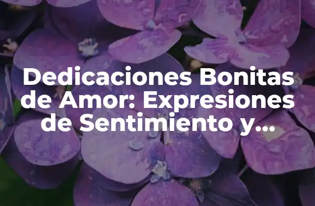 Dedicaciones Bonitas de Amor: Expresiones de Sentimiento y Gratitud