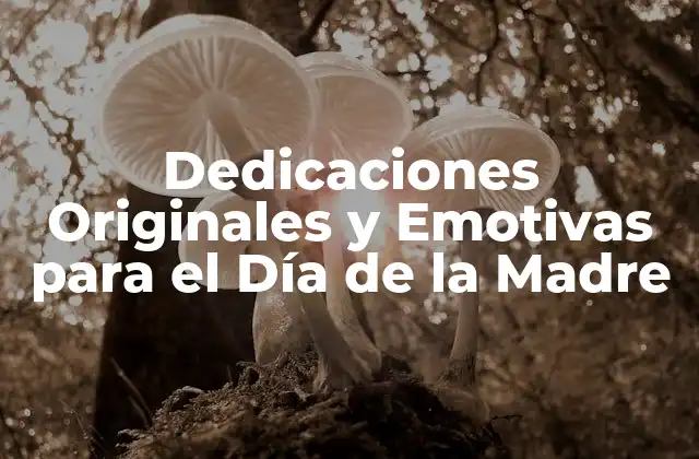 Dedicaciones Originales y Emotivas para el Día de la Madre