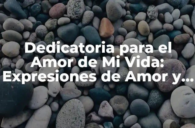 Dedicatoria para el Amor de Mi Vida: Expresiones de Amor y Agradecimiento