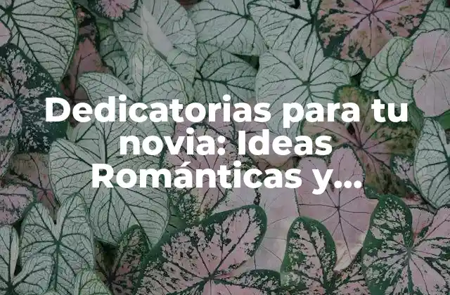 Dedicatorias para Tu Novia: Ideas Románticas y Originales