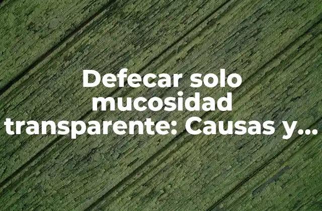 Defecar Solo Mucosidad Transparente: Causas y Soluciones