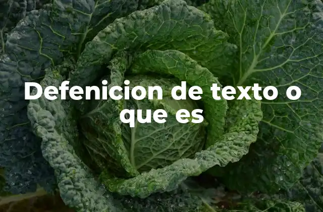 Defenicion de Texto o que es
