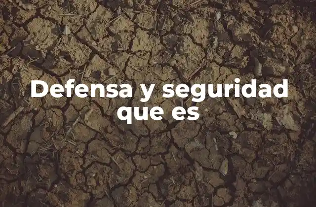 Defensa y Seguridad que es