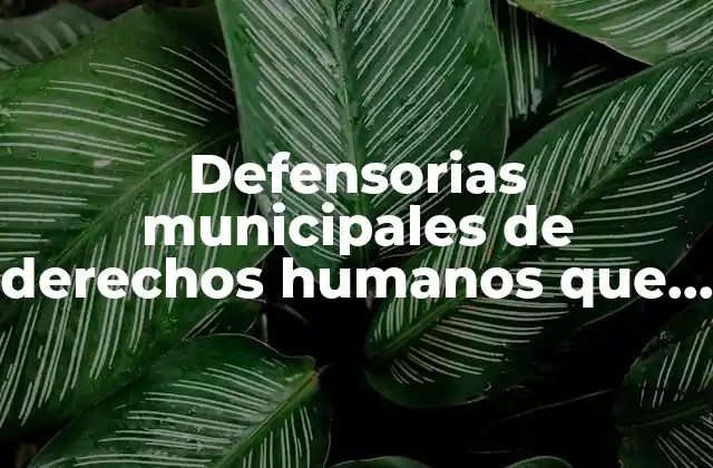 Defensorias Municipales de Derechos Humanos que es